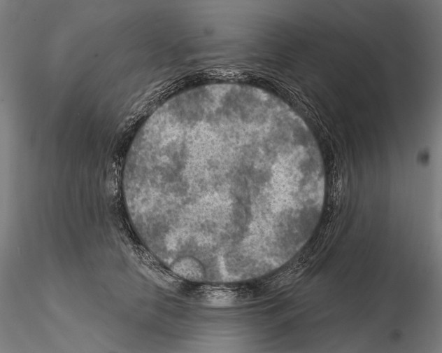 X0000114650658200912011113