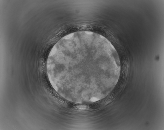 X0000114650659200912011113