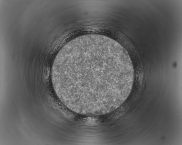 X0000114650660200912011113