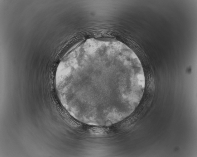 X0000114650661200912011113