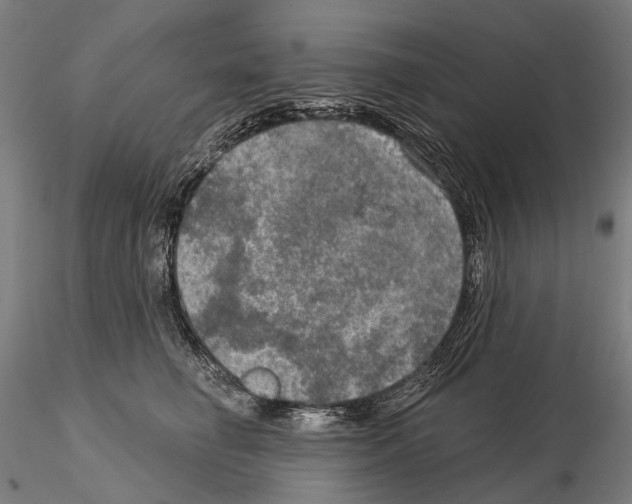 X0000114650662200912011113