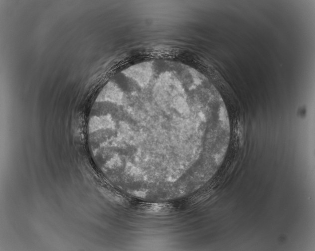 X0000114650663200912011113