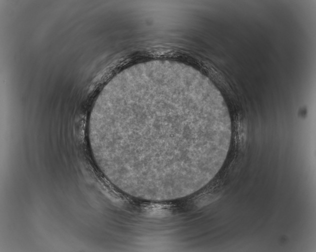 X0000114650664200912011113