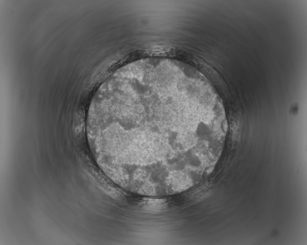 X0000114650665200912011113