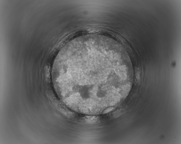 X0000114650667200912011113