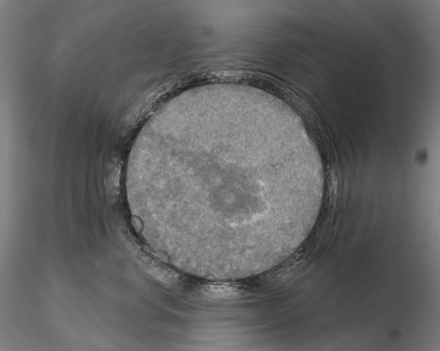 X0000114650668200912011113