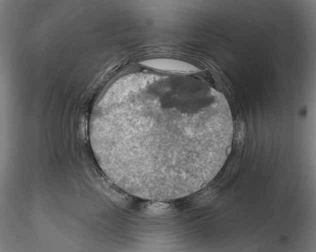 X0000114650669200912011113