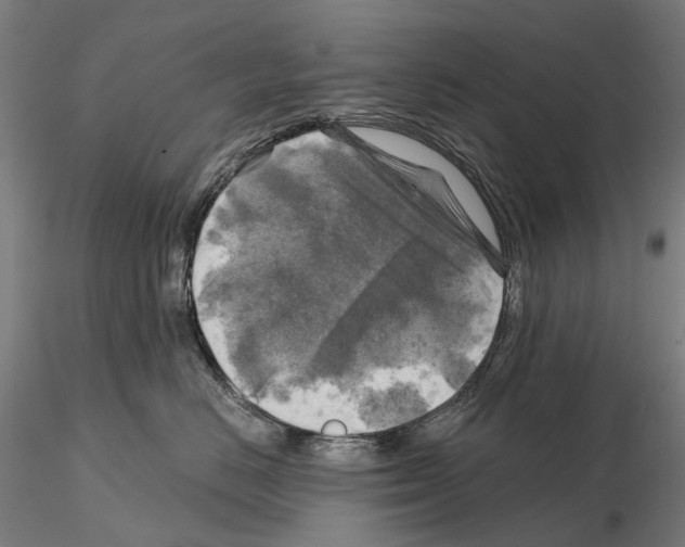 X0000114650670200912011113