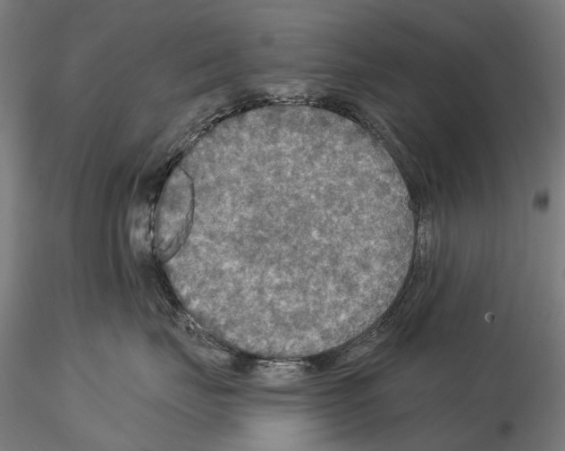 X0000114650671200912011113