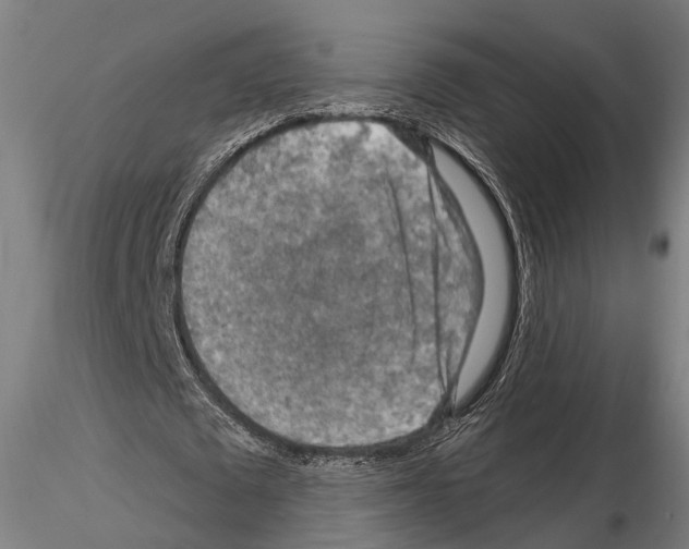 X0000114650673200912011113