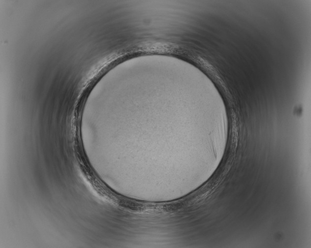 X0000114650674200912011113