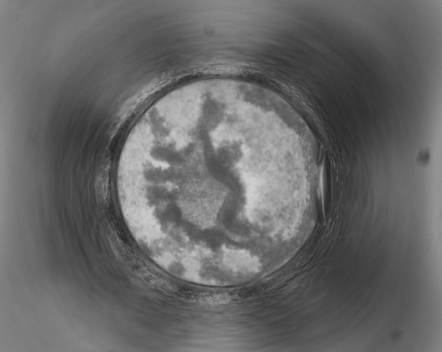 X0000114650675200912011113