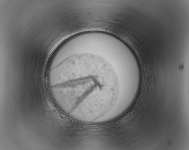 X0000114650676200912011113