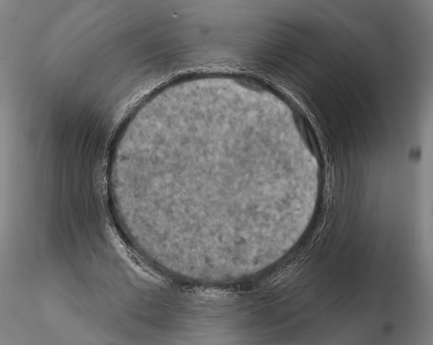 X0000114650677200912011113