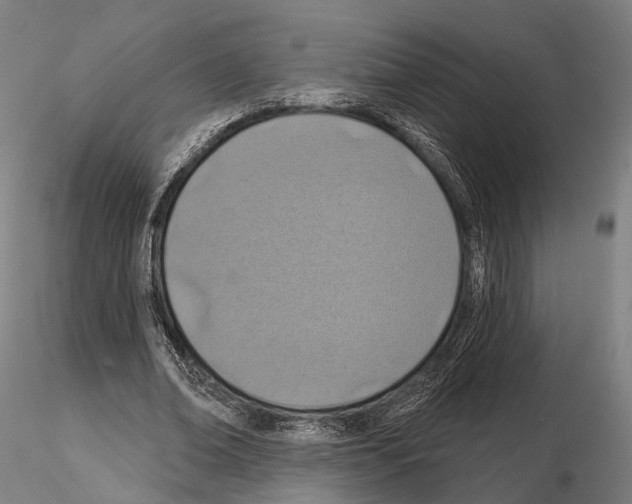 X0000114650678200912011113