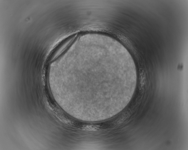 X0000114650680200912011113