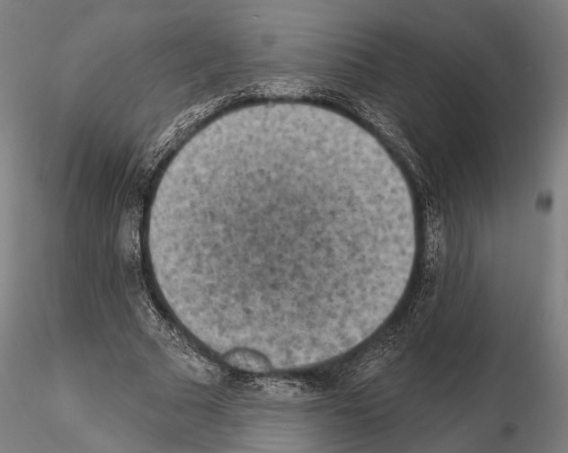 X0000114650681200912011113