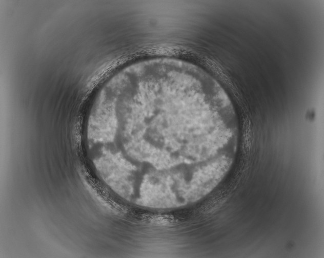 X0000114650683200912011113