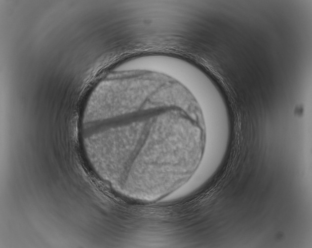 X0000114650685200912011113