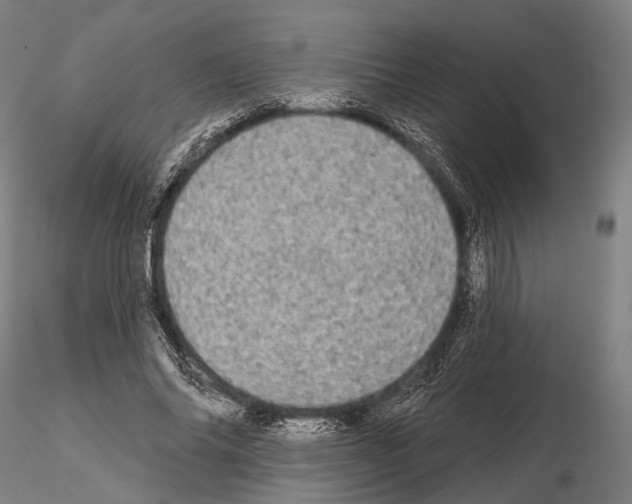 X0000114650686200912011113