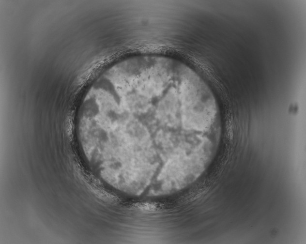 X0000114650687200912011113