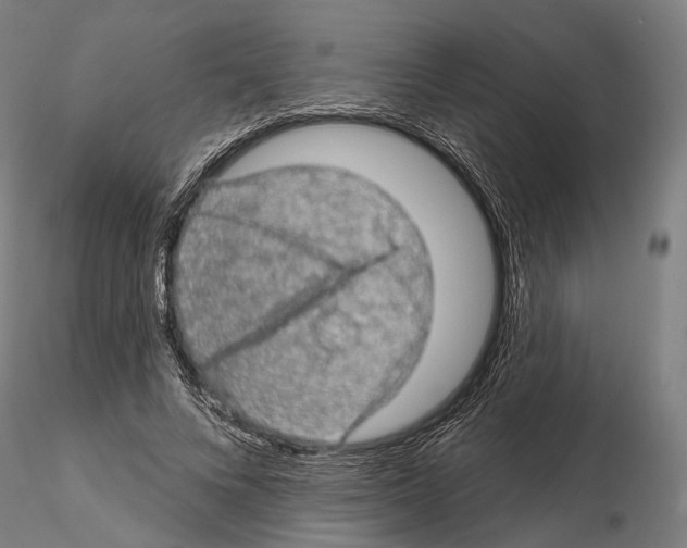 X0000114650688200912011113