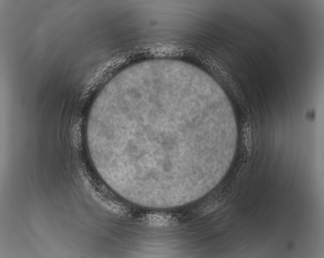 X0000114650690200912011113