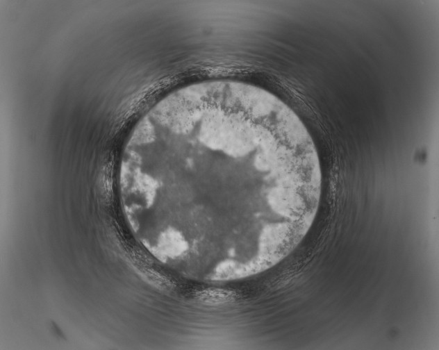 X0000114650691200912011113