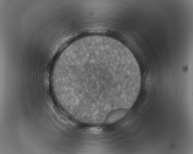 X0000114650692200912011113