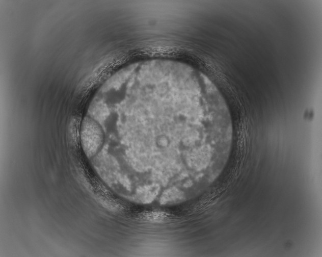 X0000114650695200912011112