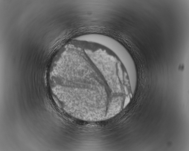 X0000114650696200912011112