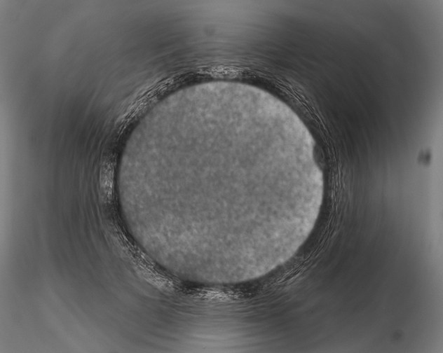 X0000114650697200912011112