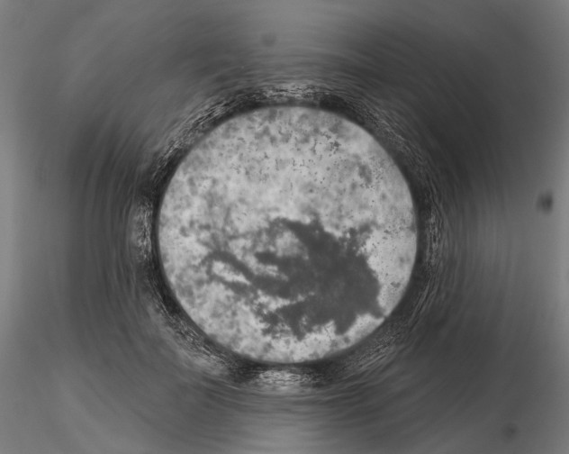 X0000114650699200912011112