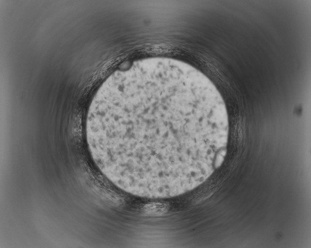 X0000114650700200912011112