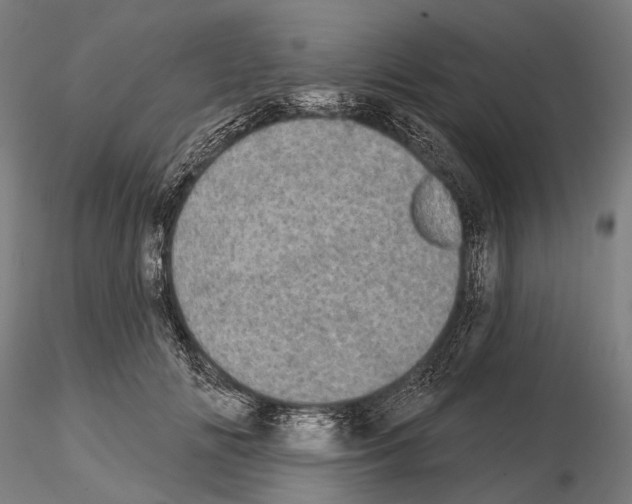 X0000114650702200912011112