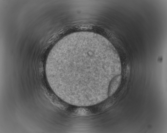 X0000114650704200912011112