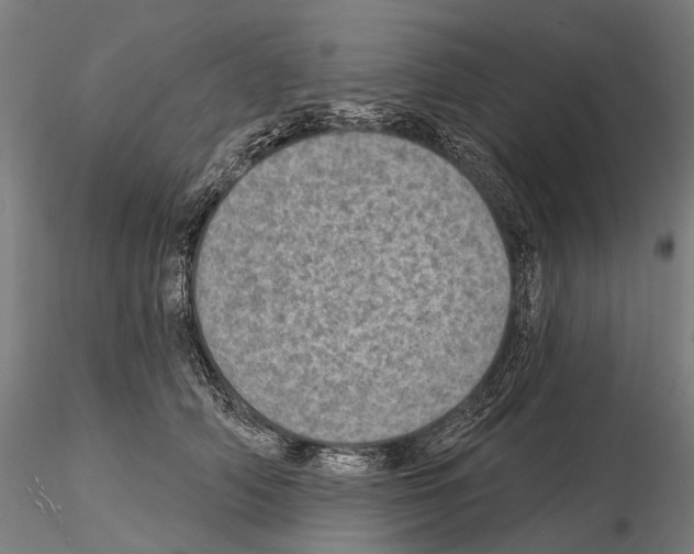 X0000114650706200912011112