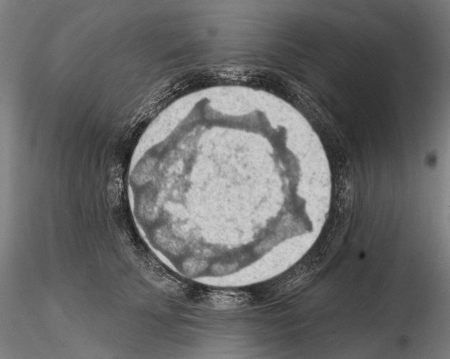 X0000114650707200912011112