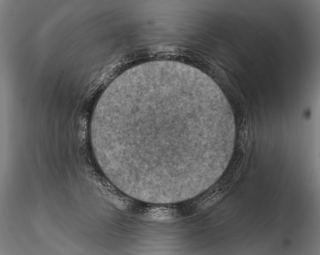 X0000114650708200912011112