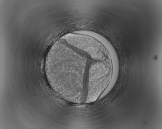 X0000114650709200912011112