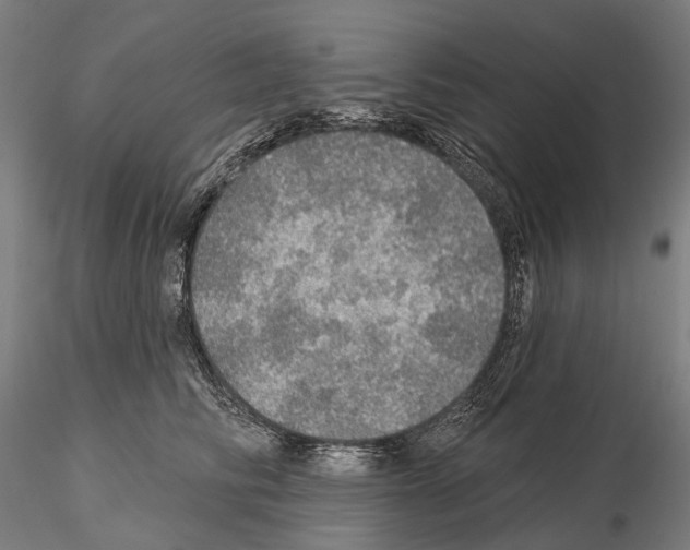 X0000114650710200912011112