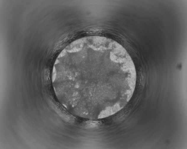 X0000114650711200912011112