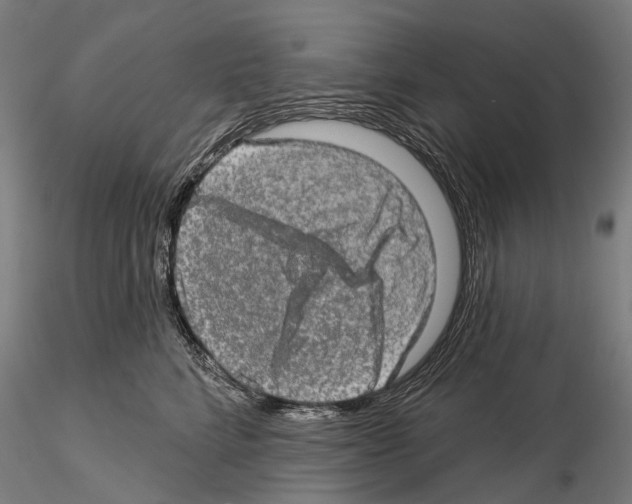 X0000114650712200912011112