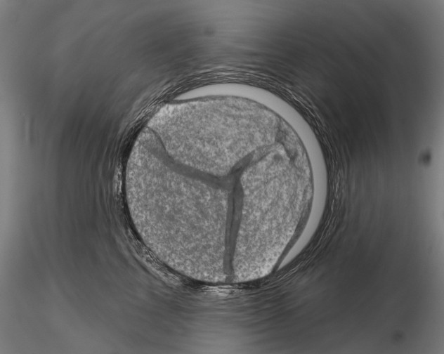 X0000114650713200912011112