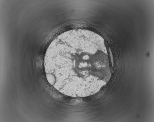 X0000114650715200912011112