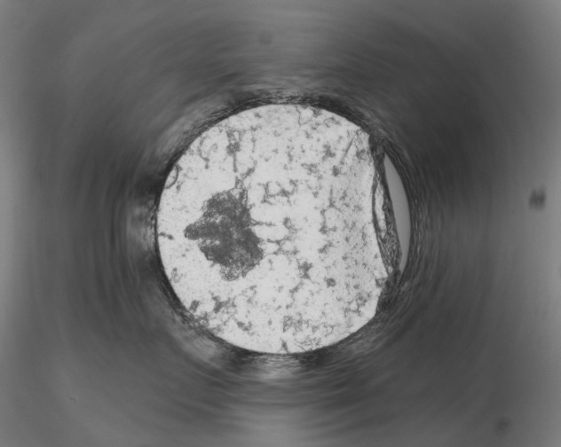 X0000114650719200912011112