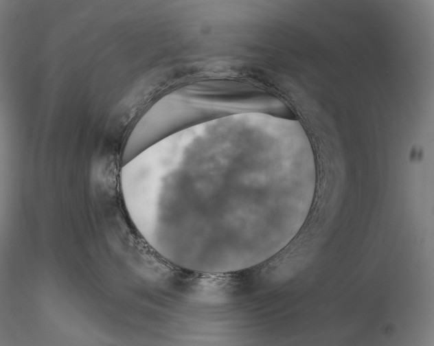 X0000114650720200912011112