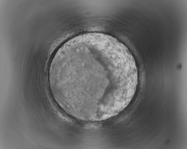 X0000114650721200912011111