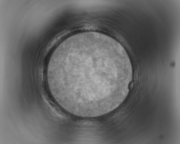 X0000114650722200912011111