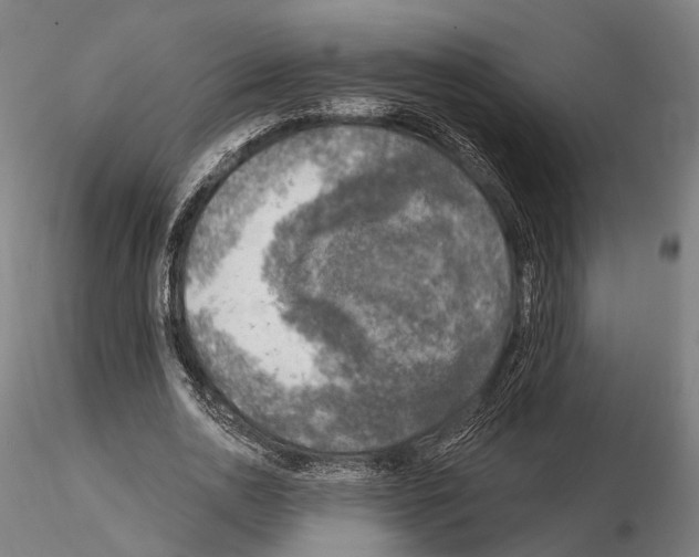 X0000114650726200912011112